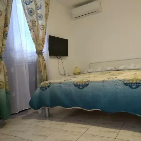 Vitae بولا