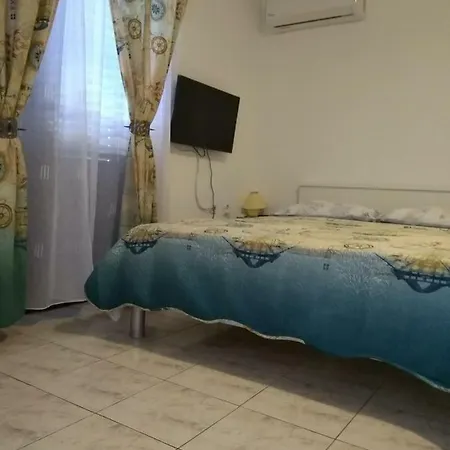 Vitae بولا